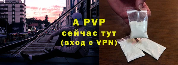 стаф Верхний Тагил