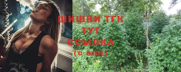 крисы Бронницы