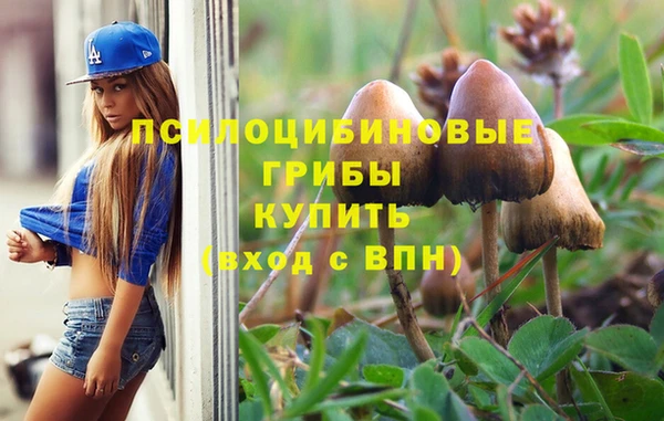 СК Бородино