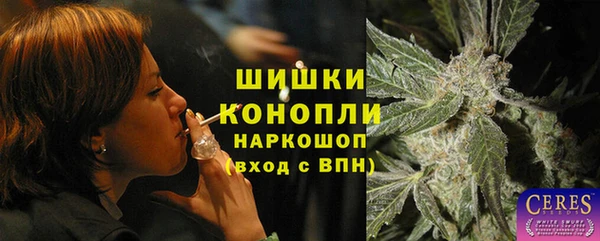 стаф Верхний Тагил